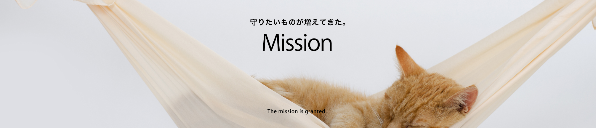 守りたいものが増えてきた。 Mission The mission is granted.